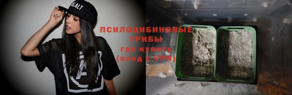 гашик Лагань