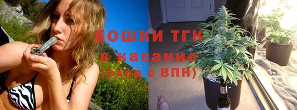 PSILOCYBIN Лабытнанги