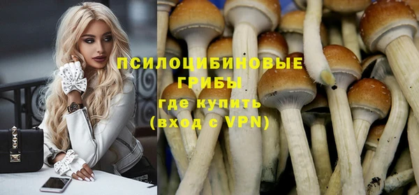 гашик Лагань